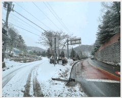  2024Ÿ��85648 ��� ���ֽ� �Ƶ��� 278       ����(��1)���