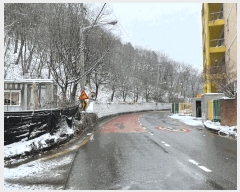  2024Ÿ��85648 ��� ���ֽ� �Ƶ��� 278       ����(��1)���