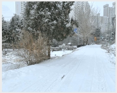  2024Ÿ��85648 ��� ���ֽ� �Ƶ��� 278       ����(��1)���