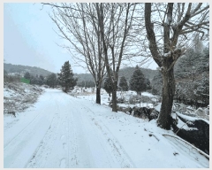  2024Ÿ��85648 ��� ���ֽ� �Ƶ��� 278       ����(��1)���