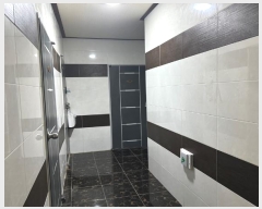  2024Ÿ6638  ֽ ̵ 768-2       ܵ,ð