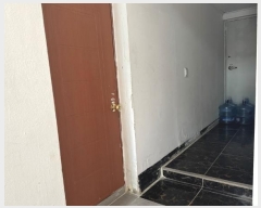  2024Ÿ6638  ֽ ̵ 768-2       ܵ,ð