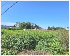  2024Ÿ6935  ֽ ո ¸ 86-1      ()