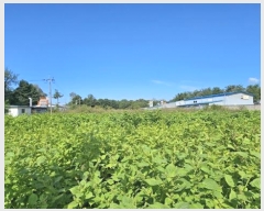  2024Ÿ6935  ֽ ո ¸ 86-1      ()