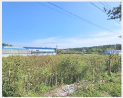  2024Ÿ6935  ֽ ո ¸ 86-1      ()