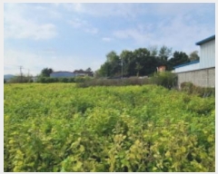  2024Ÿ6935  ֽ ո ¸ 86-1      ()