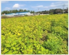  2024Ÿ6935  ֽ ո ¸ 86-1      ()