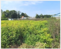  2024Ÿ6935  ֽ ո ¸ 86-1      ()