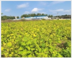  2024Ÿ6935  ֽ ո ¸ 86-1      ()