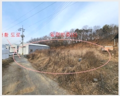  2024Ÿ7556  ֽ ź ︮ 11      ð