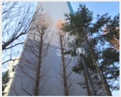  2024Ÿ��60694  ����Ʈ���