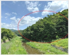  2024Ÿ��69950  �Ӿ߰��