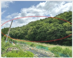  2024Ÿ��69950  �Ӿ߰��