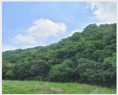  2024Ÿ��69950  �Ӿ߰��