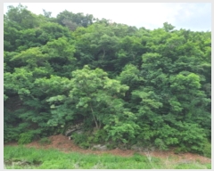  2024Ÿ��69950  �Ӿ߰��