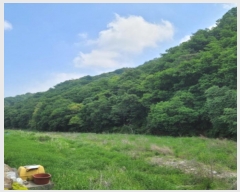  2024Ÿ��69950  �Ӿ߰��