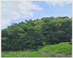  2024Ÿ��69950  �Ӿ߰��