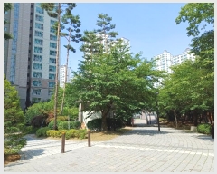  2024Ÿ71854   ϻ꼭 ũ3 62, 502 121203ȣ (̵,ũƼϻũ5)   Ʈ