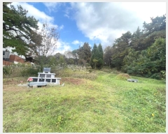  2024Ÿ81332  ֽ ߴ絿 28-2       (Ӿ)