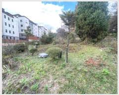  2024Ÿ81332  ֽ ߴ絿 28-2       (Ӿ)