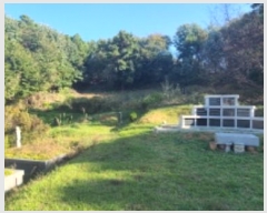  2024Ÿ81332  ֽ ߴ絿 28-2       (Ӿ)