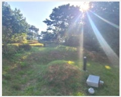  2024Ÿ81332  ֽ ߴ絿 28-2       (Ӿ)