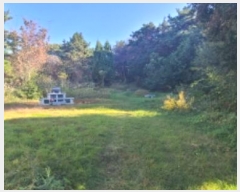  2024Ÿ81332  ֽ ߴ絿 28-2       (Ӿ)