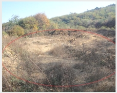  2024Ÿ��83680 ��� ���ֽ� ������ ������ 103-6      ����(�Ӿ�)���