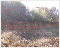  2024Ÿ��83680 ��� ���ֽ� ������ ������ 103-6      ����(�Ӿ�)���