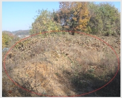  2024Ÿ��83680 ��� ���ֽ� ������ ������ 103-6      ����(�Ӿ�)���