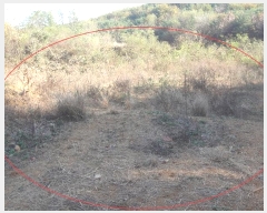  2024Ÿ��83680 ��� ���ֽ� ������ ������ 103-6      ����(�Ӿ�)���