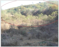  2024Ÿ��83680 ��� ���ֽ� ������ ������ 103-6      ����(�Ӿ�)���