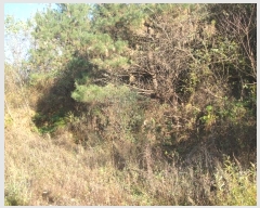  2024Ÿ��83680 ��� ���ֽ� ������ ������ 103-6      ����(�Ӿ�)���