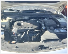  2024Ÿ87101  ֽ  151-3       