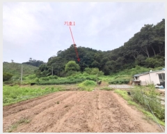  2024Ÿ6317  ֽ   128      (Ӿ)