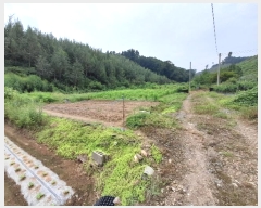  2024Ÿ6317  ֽ   128      (Ӿ)