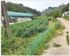  2024Ÿ6317  ֽ   128      (Ӿ)