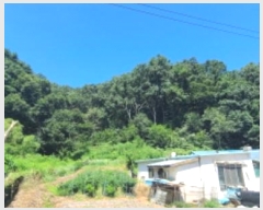  2024Ÿ6317  ֽ   128      (Ӿ)