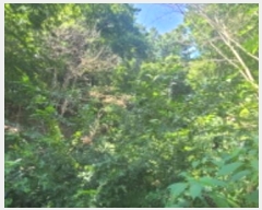  2024Ÿ6317  ֽ   128      (Ӿ)