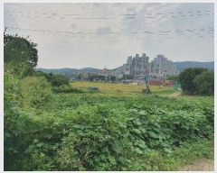  2024Ÿ��6416 ��� ����� ���籸 ������ 216-1      ����(��1)���