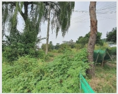  2024Ÿ��6416 ��� ����� ���籸 ������ 216-1      ����(��1)���