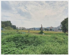  2024Ÿ��6416 ��� ����� ���籸 ������ 216-1      ����(��1)���