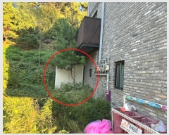  2024Ÿ6959  ֽ 񵿵 1107-7       ܵ,ð