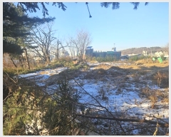  2024Ÿ9149   籸 ൿ 766-195      (Ӿ)