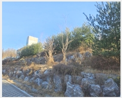  2024Ÿ9149   籸 ൿ 766-195      (Ӿ)