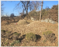  2024Ÿ9149   籸 ൿ 766-195      (Ӿ)