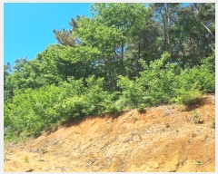  2024Ÿ��69516  �Ӿ߰��