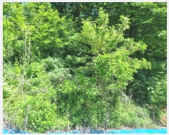  2024Ÿ��69516  �Ӿ߰��