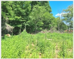  2024Ÿ��69516  �Ӿ߰��