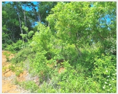  2024Ÿ��69516  �Ӿ߰��